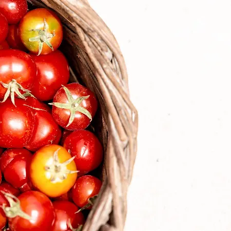 Ξενοδοχείο Limestone