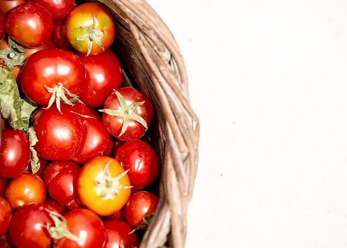 فندق لايمستون